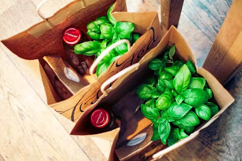 Biodegradable Packaging