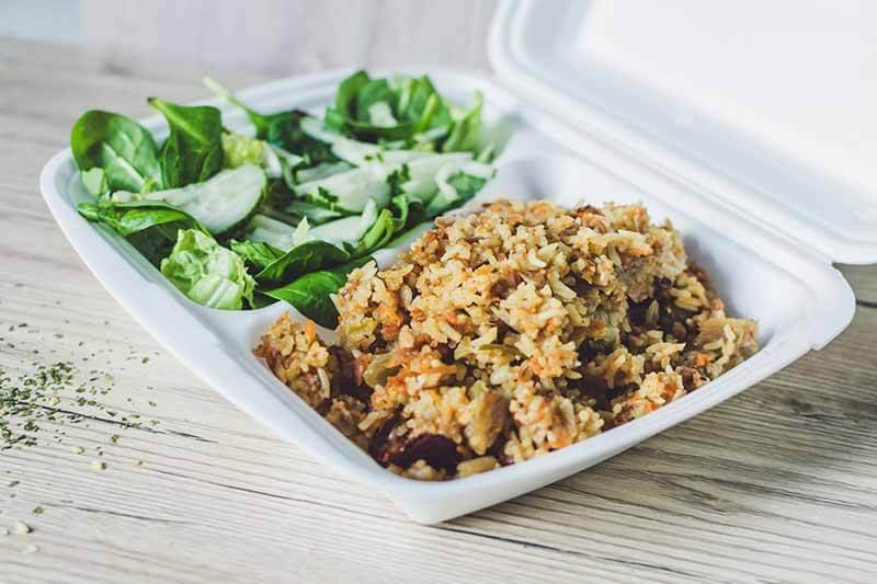 biodegradable food packaging
